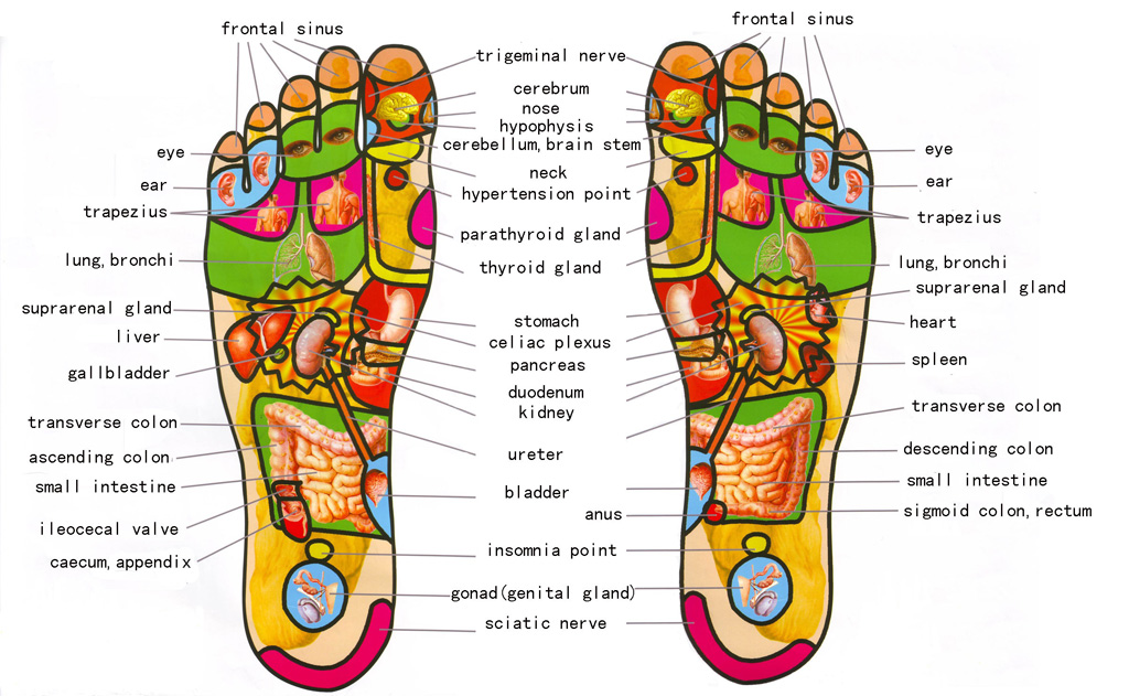riflessologia-plantare-4